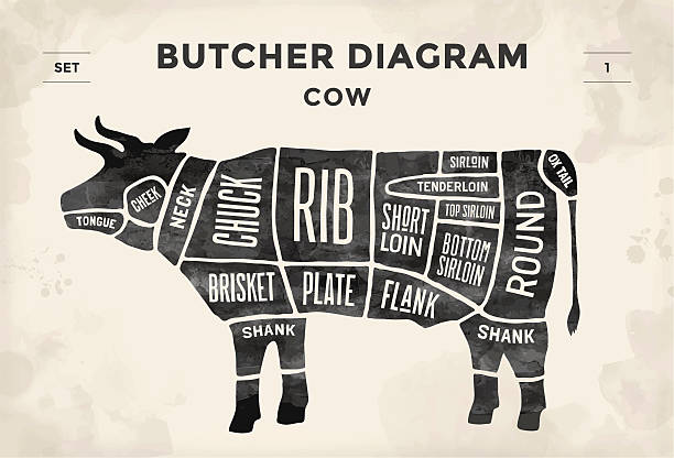Detail Beef Clipart Nomer 34
