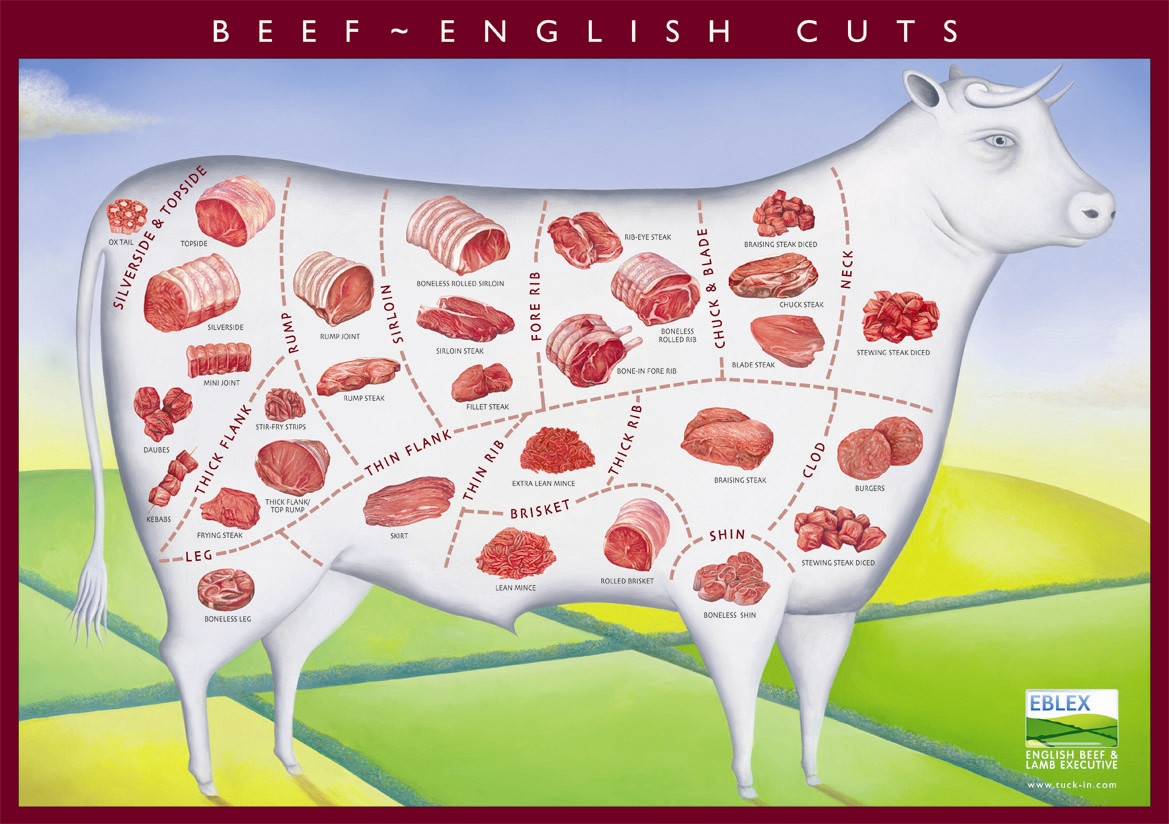 Detail Beef Cuts Images Nomer 17