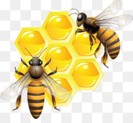 Detail Beehive Png Nomer 7