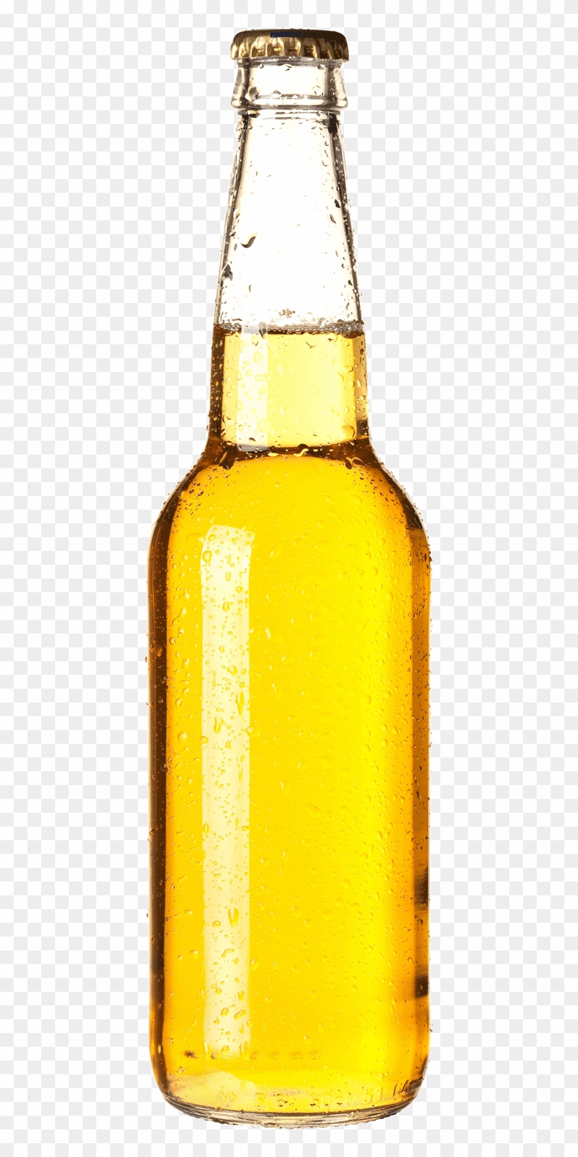 Detail Beer Bottle Clipart Png Nomer 40