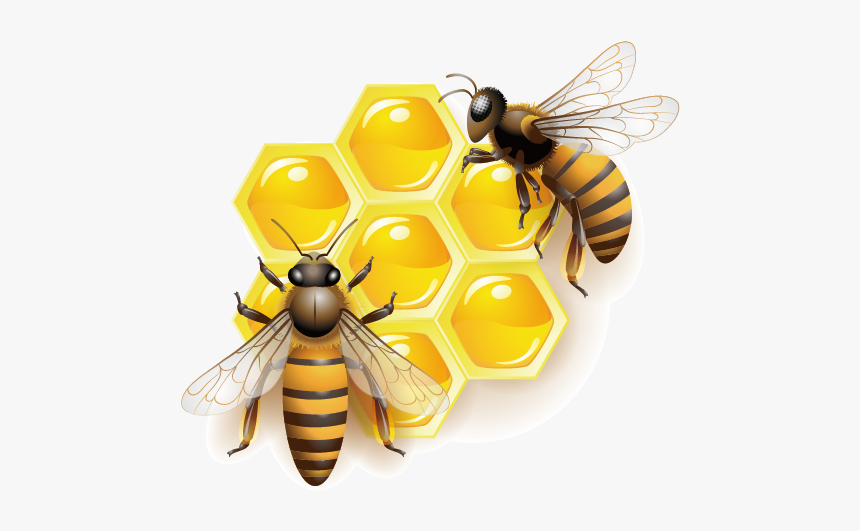 Detail Bees Transparent Nomer 17