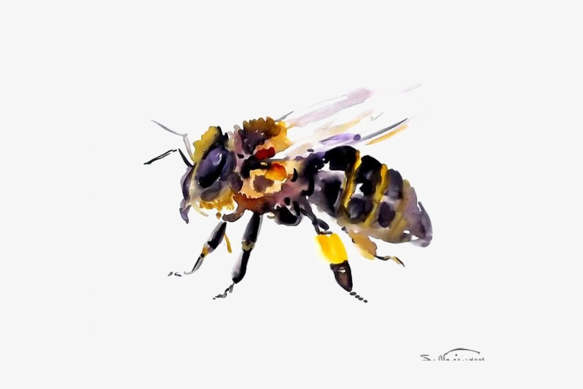 Detail Bees Transparent Nomer 44