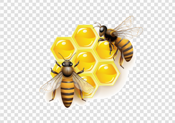 Detail Bees Transparent Background Nomer 29