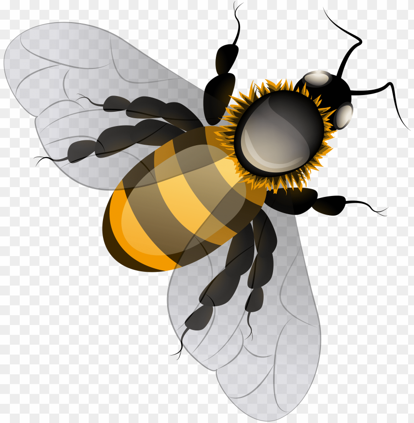 Detail Bees Transparent Background Nomer 40