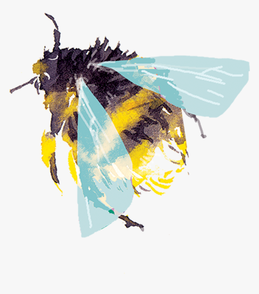 Detail Bees Transparent Background Nomer 50