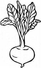 Beet Clipart Black And White - KibrisPDR