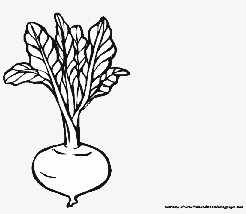 Detail Beet Clipart Black And White Nomer 2