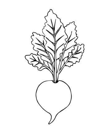 Detail Beet Clipart Black And White Nomer 12