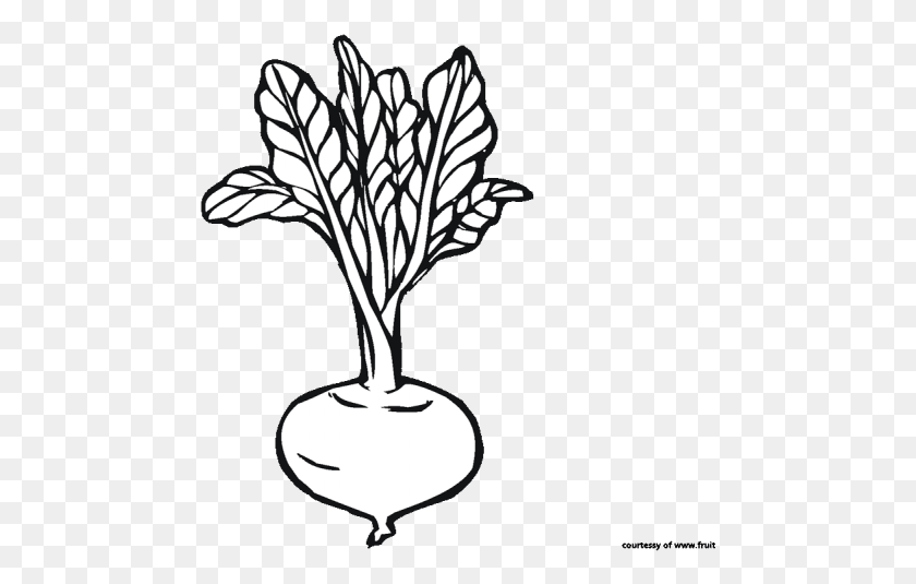 Detail Beet Clipart Black And White Nomer 5