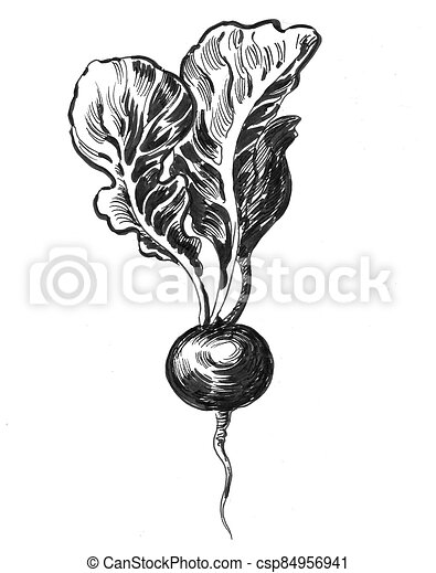 Detail Beet Clipart Black And White Nomer 57