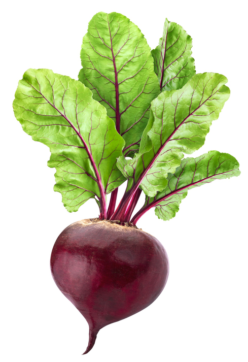 Detail Beet Image Nomer 13