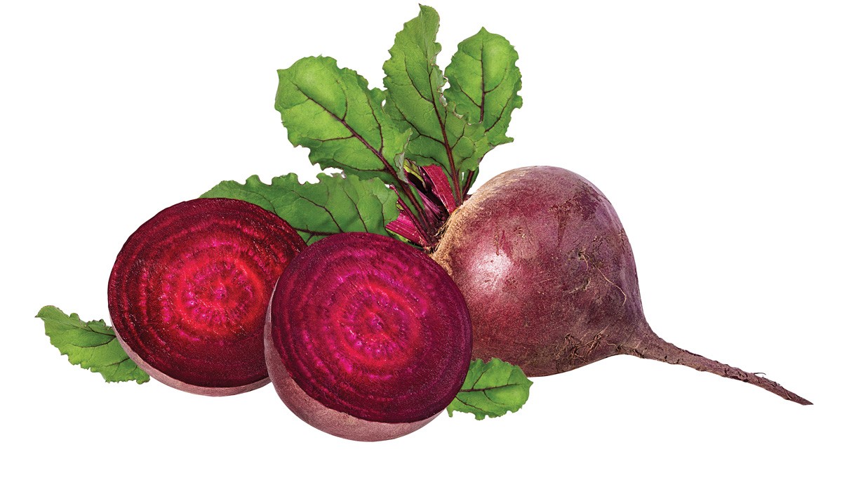 Detail Beet Image Nomer 16