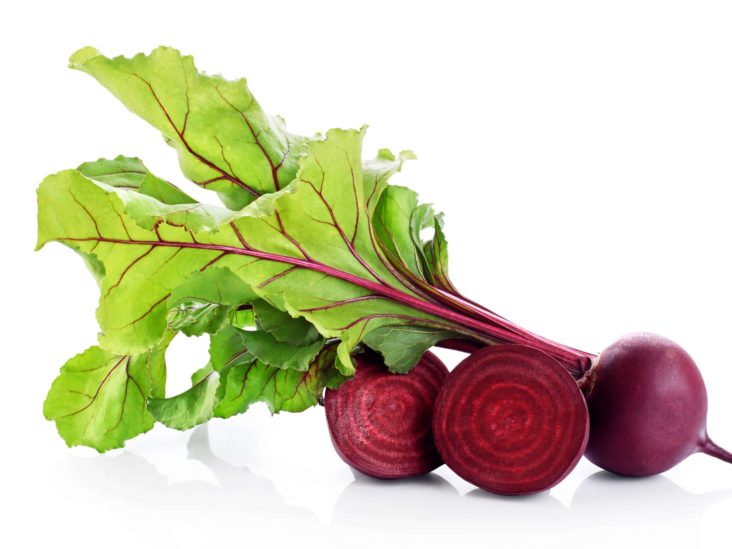 Detail Beet Image Nomer 19