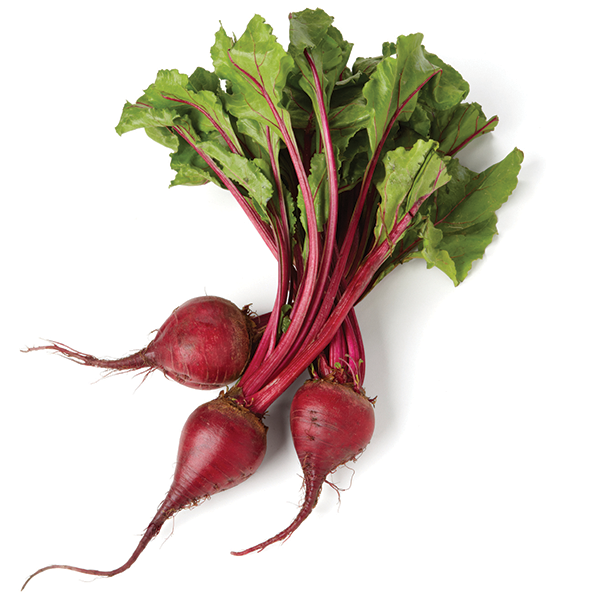 Detail Beet Image Nomer 20