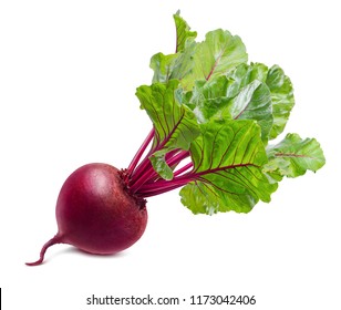 Detail Beet Image Nomer 23