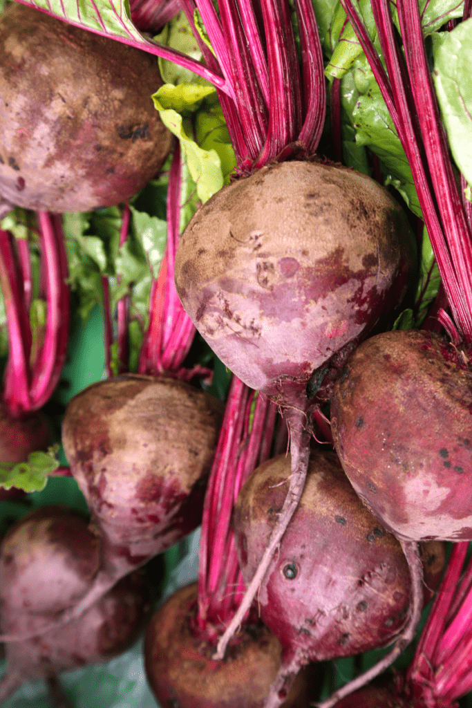 Detail Beet Image Nomer 29