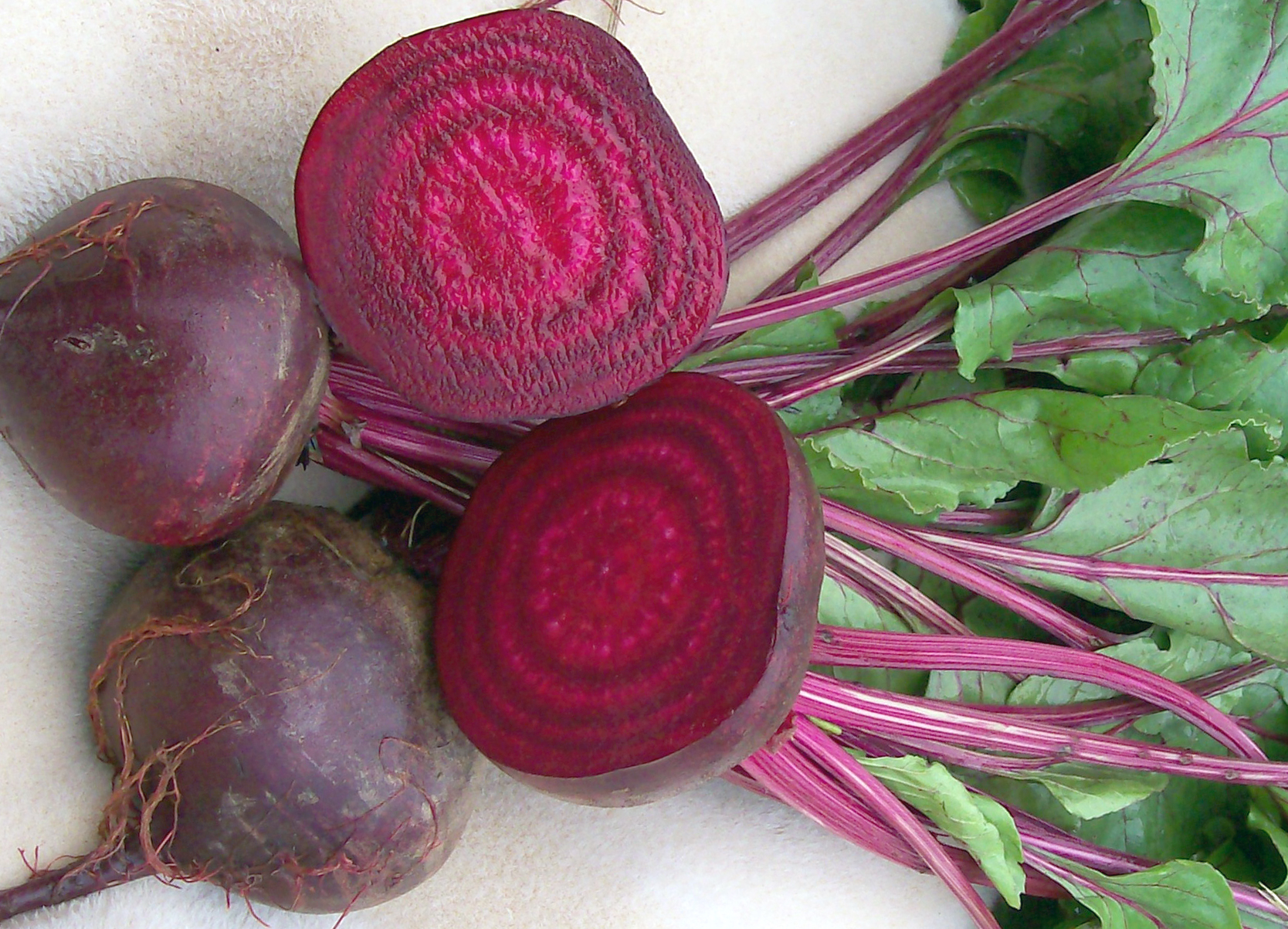Detail Beet Image Nomer 31