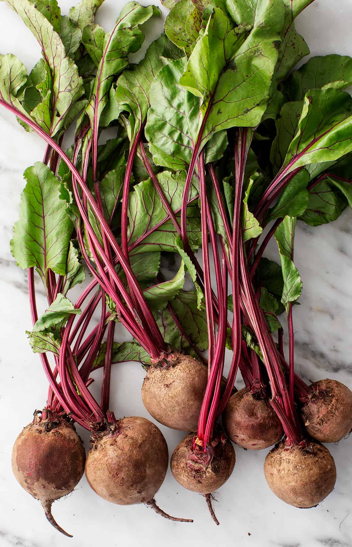 Detail Beet Image Nomer 33