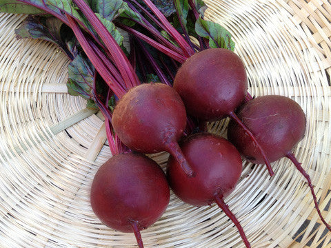 Detail Beet Image Nomer 44