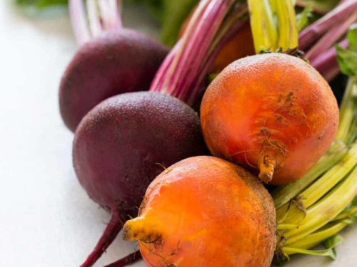 Detail Beet Image Nomer 52