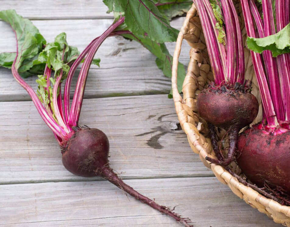 Detail Beet Image Nomer 53