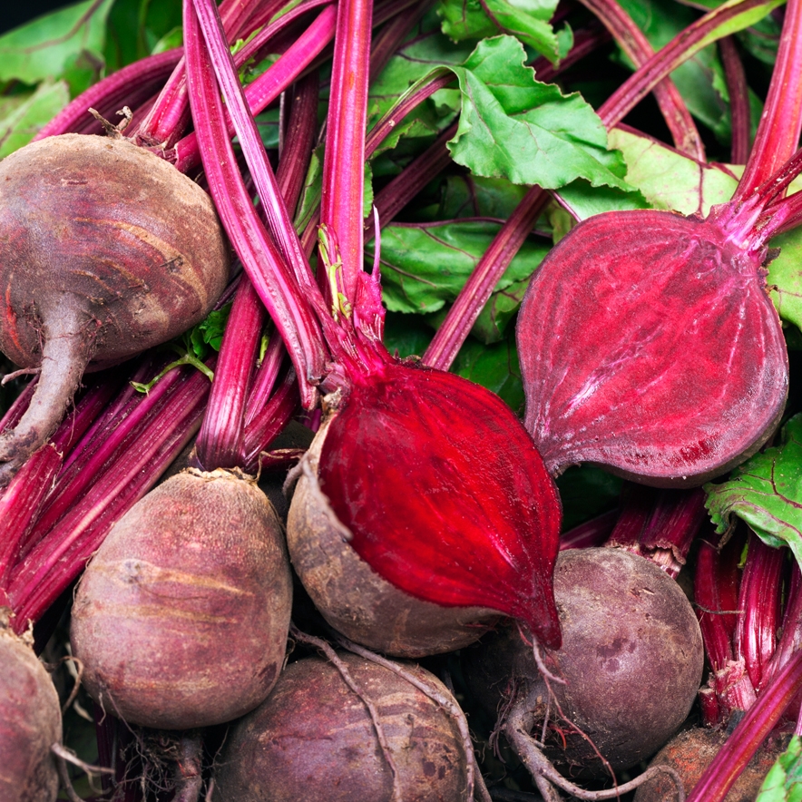 Detail Beet Image Nomer 55