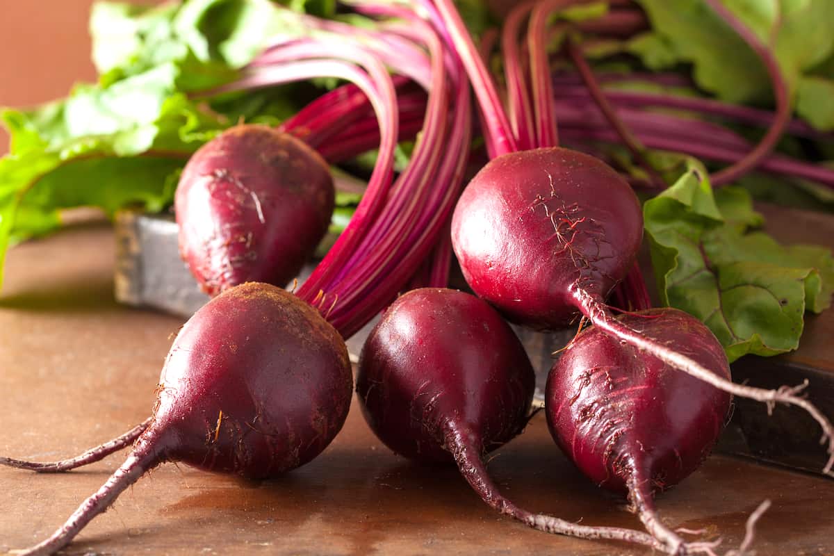 Detail Beet Image Nomer 57