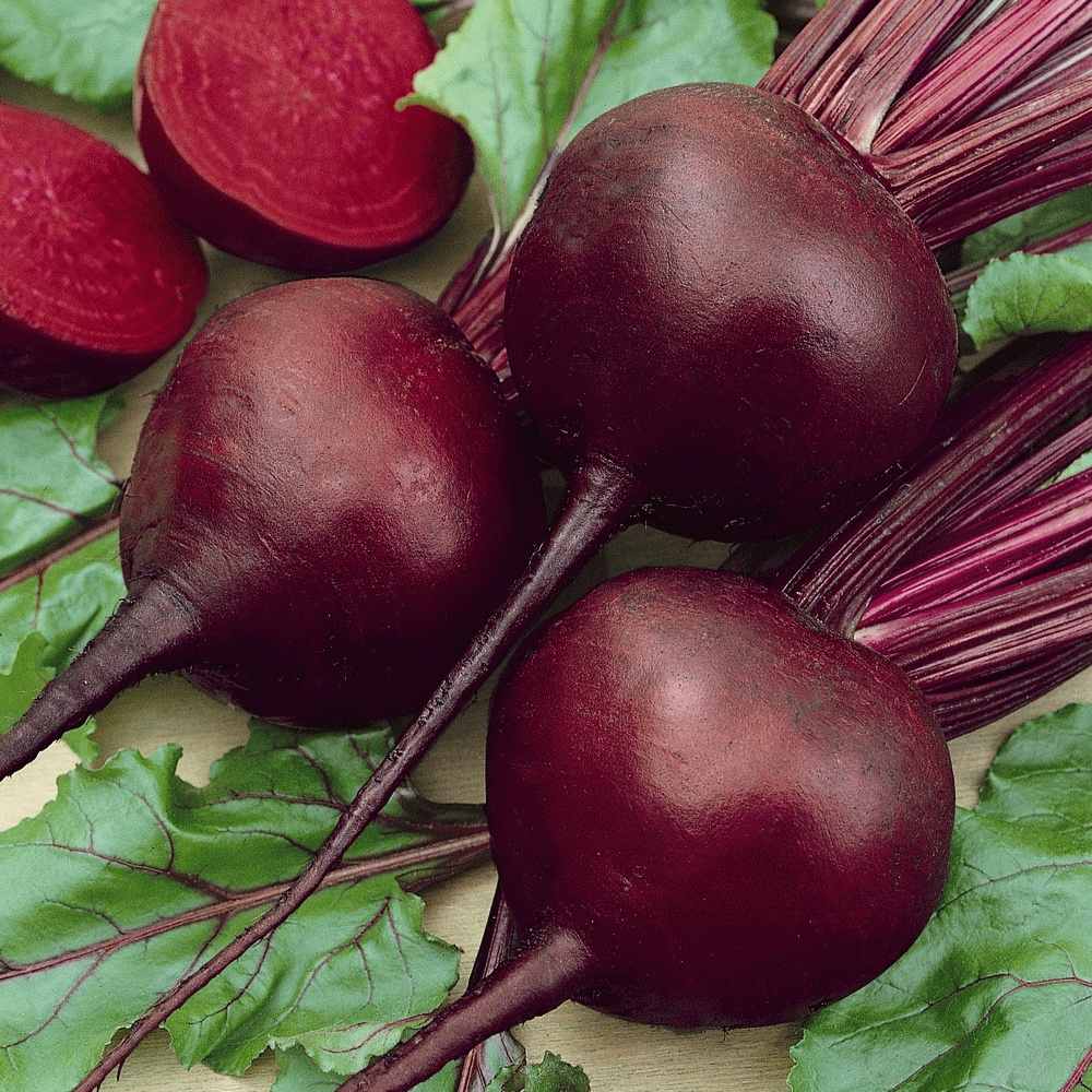 Detail Beet Pic Nomer 46