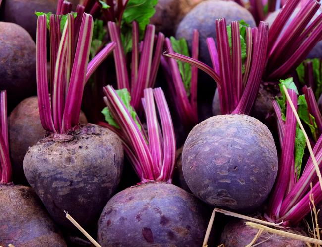 Detail Beet Pic Nomer 47