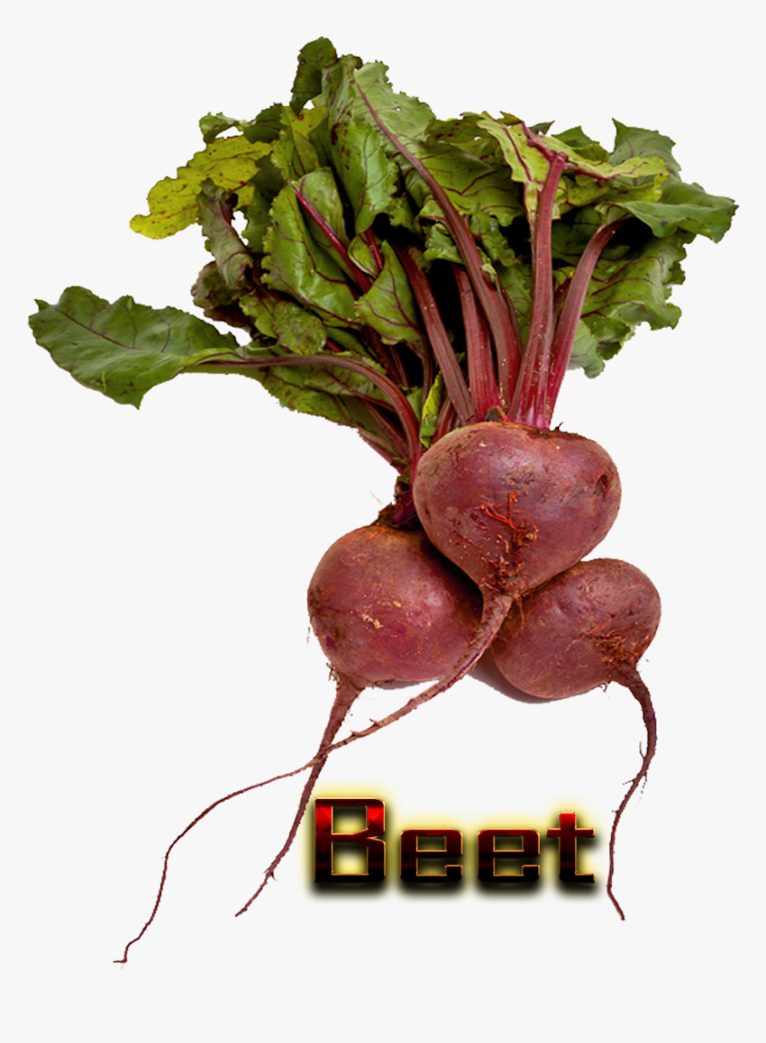 Detail Beet Png Nomer 29