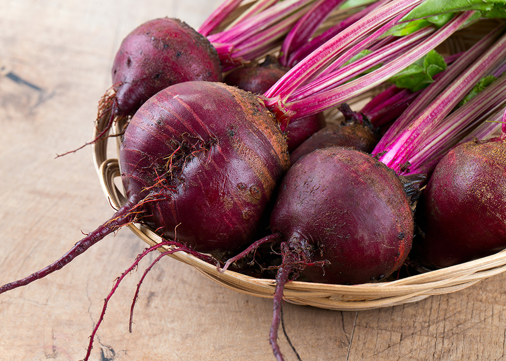 Detail Beet Varieties Pictures Nomer 19