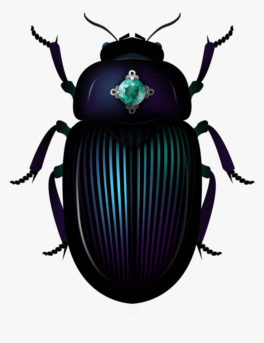 Detail Beetle Png Nomer 48