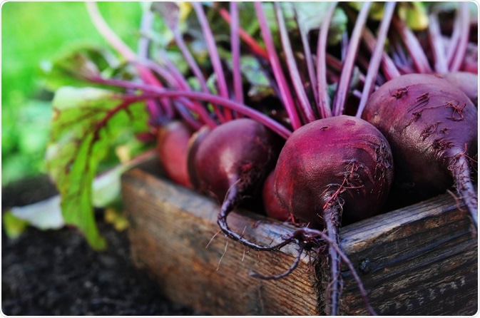 Detail Beetroot Pics Nomer 16