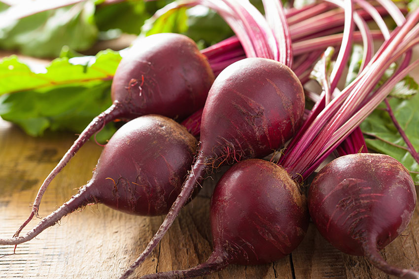 Detail Beetroot Pics Nomer 23