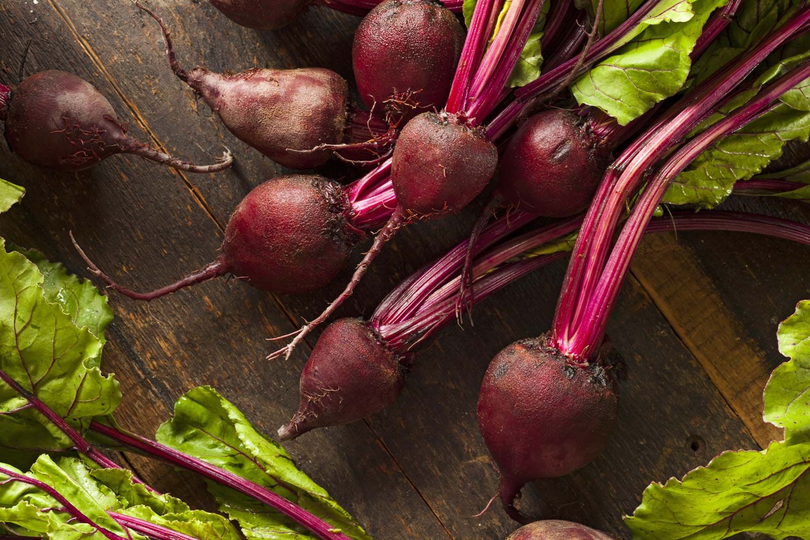 Detail Beetroot Pics Nomer 29