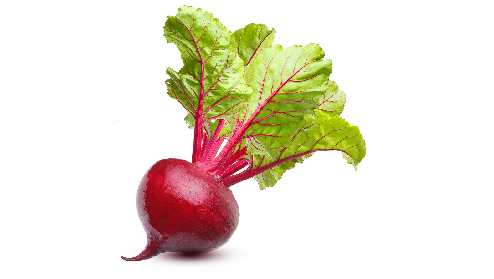 Detail Beetroot Wallpaper Nomer 21