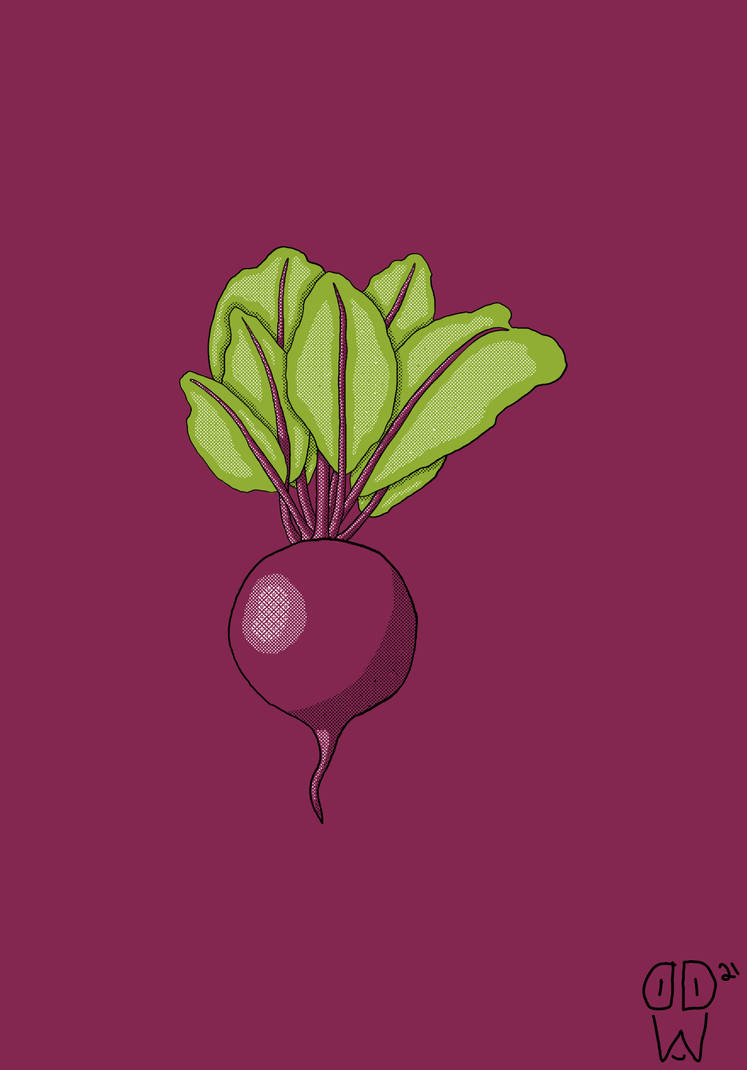 Detail Beetroot Wallpaper Nomer 25