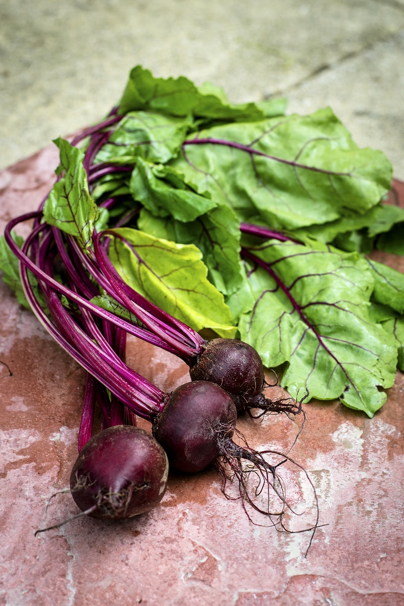 Detail Beetroot Wallpaper Nomer 50