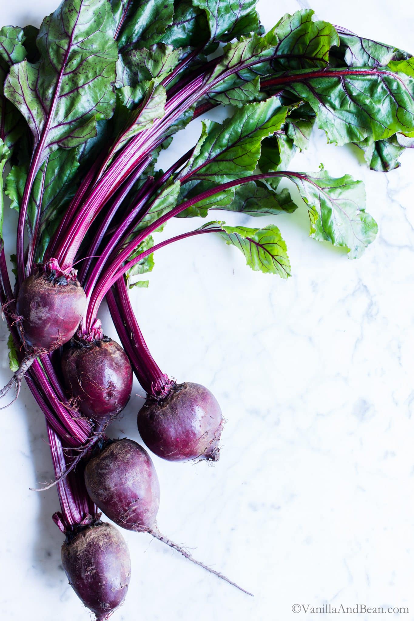 Download Beets Images Nomer 29