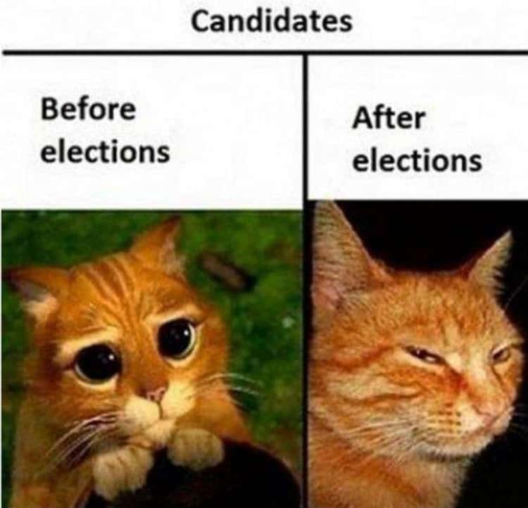 Detail Before After Meme Nomer 28