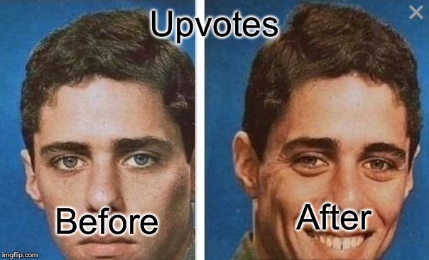 Detail Before After Meme Nomer 39