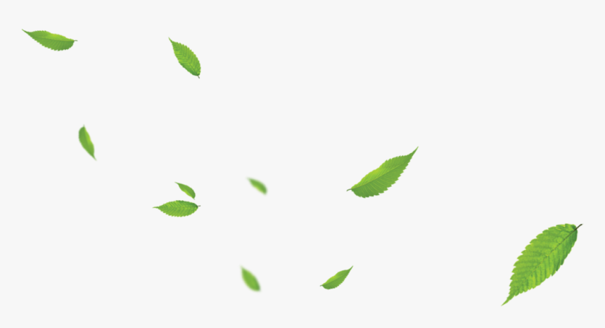 Detail Beground Daun Nomer 8