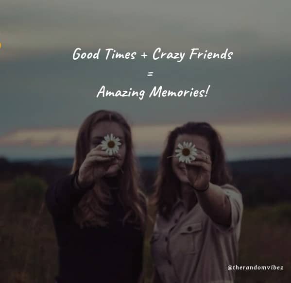 Detail Being Crazy With Friends Quotes Nomer 44