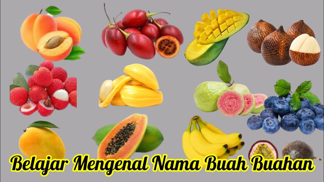 Detail Belajar Buah Buahan Nomer 19