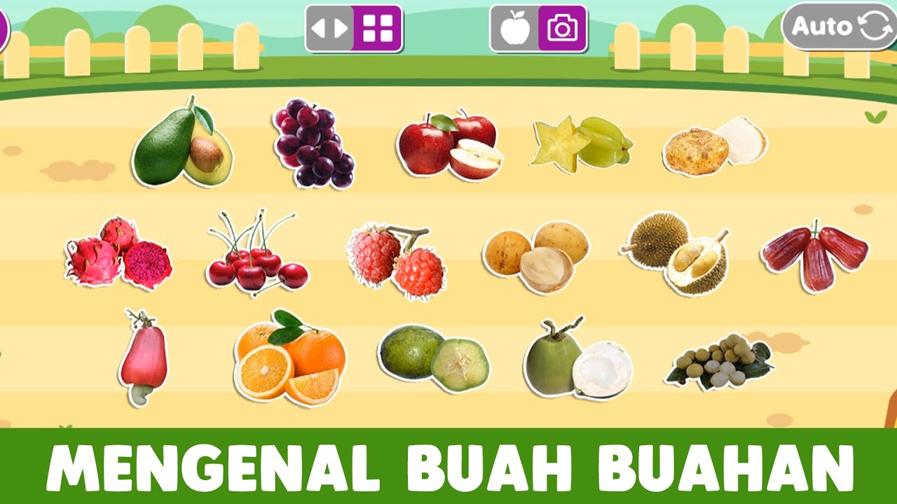 Detail Belajar Buah Buahan Nomer 21