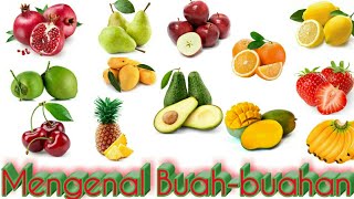 Detail Belajar Buah Buahan Nomer 5