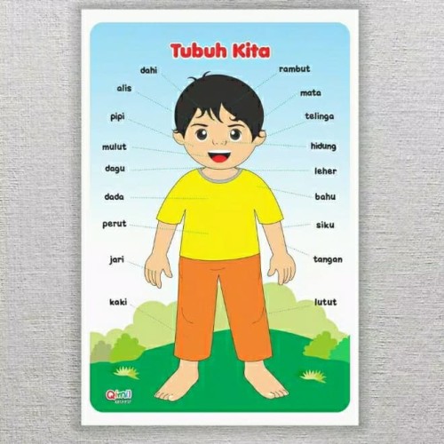 Detail Belajar Gambar Anak Tk Nomer 18