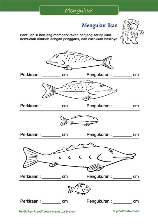 Detail Belajar Gambar Ikan Nomer 45