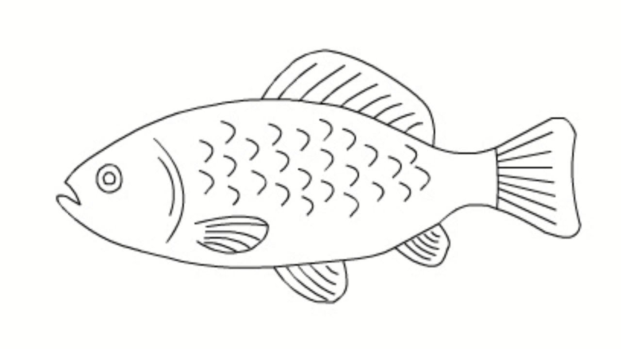 Detail Belajar Gambar Ikan Nomer 6