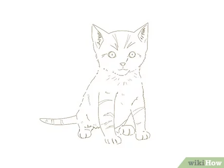 Detail Belajar Menggambar Kucing Nomer 12